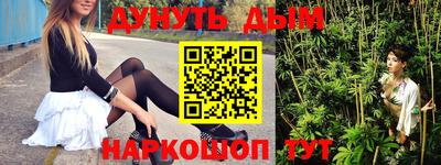 гашик Берёзовский