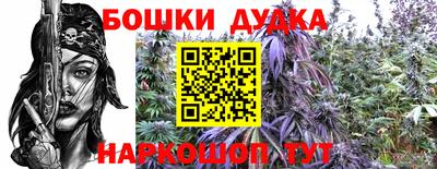 гашик Берёзовский